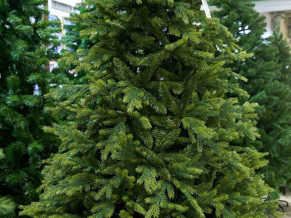 Над 750 коледни елхи са продали горските стопанства в Североизточна България