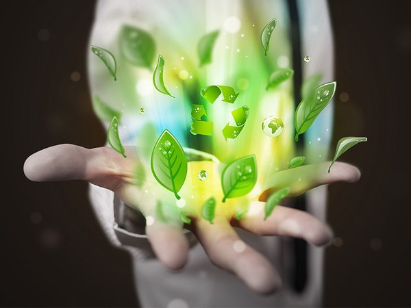 Все повече фирми у нас работят със зелена енергия