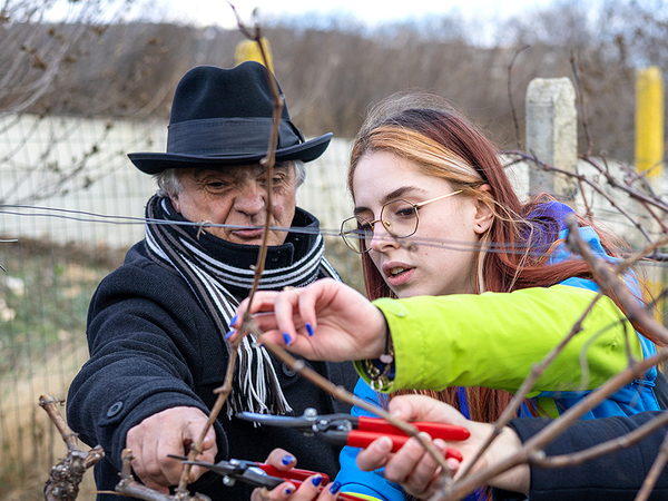 Студенти на Техническия университет във Варна зарязаха ритуално лозята в деня на свети Трифон