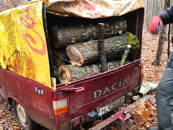 Близо 90 акта на нарушители са издали горските в Североизточна България през януари