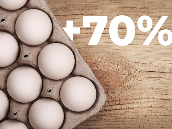 Скок със 70% в цената на яйцата