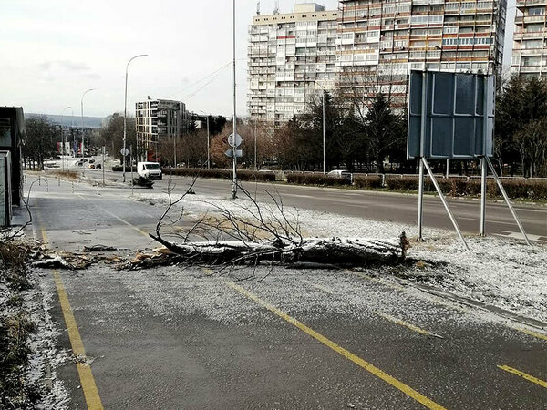 Силен вятър предизвика поредица от инциденти във Варна в неделя