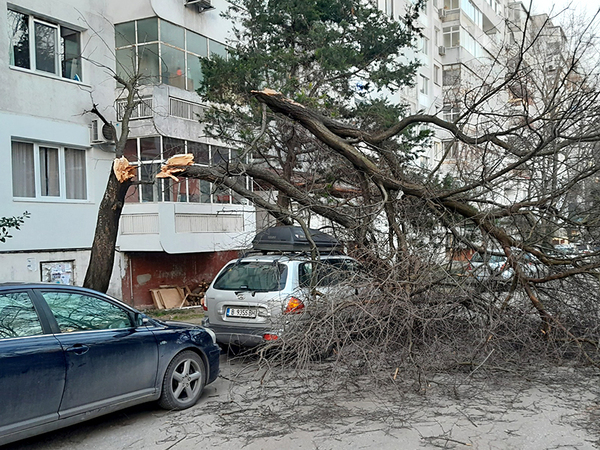 Бурният вятър във Варна продължава да създава опасности