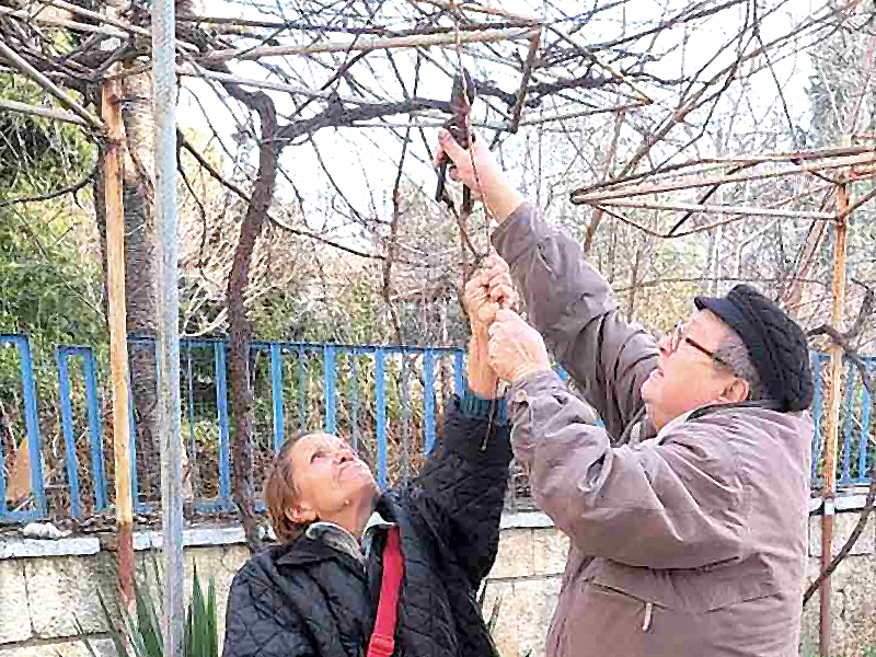 В Дом “Гергана” отпразнуваха Трифон Зарезан