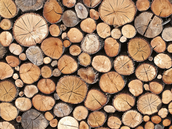 Служител във фирма за дърводобив загина по време на работа