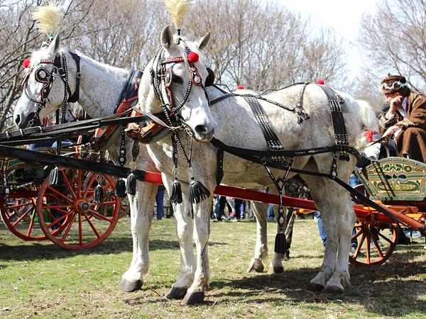 Подготвят празнична програма за Тодоровден в Екопарка
