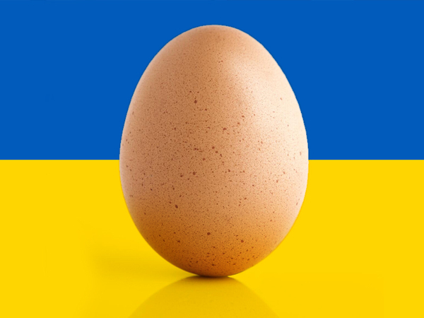 Яйцата, внос от Украйна, не са радиоактивни