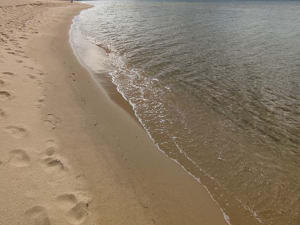 Доброволци почистват плаж Романтика в курорта Камчия