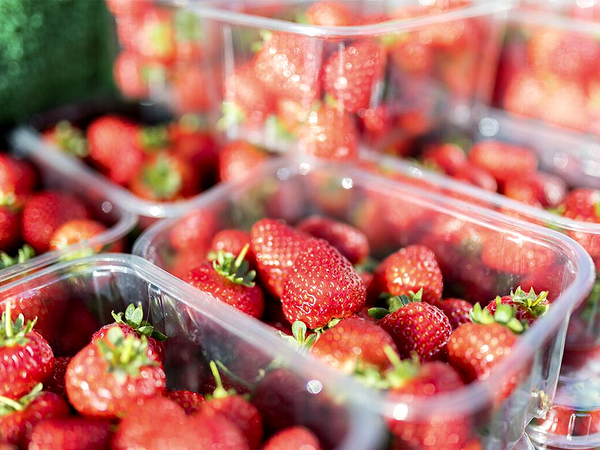 Цена за 500 грама ягоди без изписана и цената за килограм е нарушение