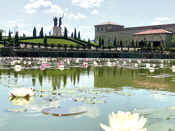 Прекрасни лилии разцъфтяха в езерото на Историческия парк край село Неофит Рилски