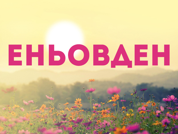 Еньовден е – за всяка болка има билка!