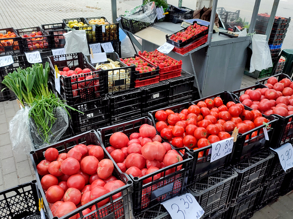 Краставиците и доматите поевтиняват, сиренето – поскъпва