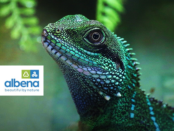 Терариум с над 70 вида екзотични животни откриха в Албена