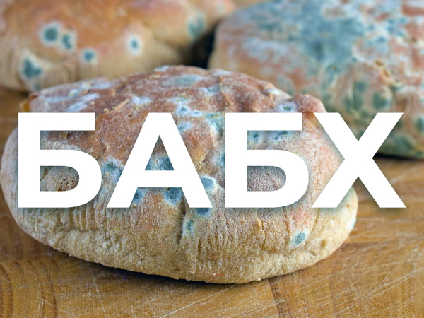 Близо 300 кг храни са бракувани за седмица