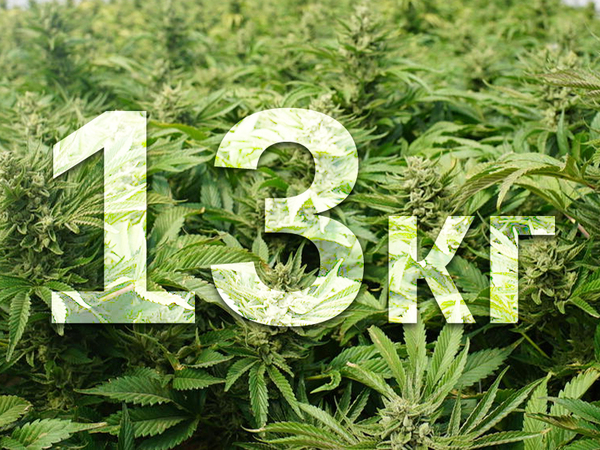 Съдят варненец за притежание на над 13 килограма наркотици