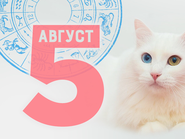 Хороскоп за вторник, 5 август 2025 г. (Всички зодии)