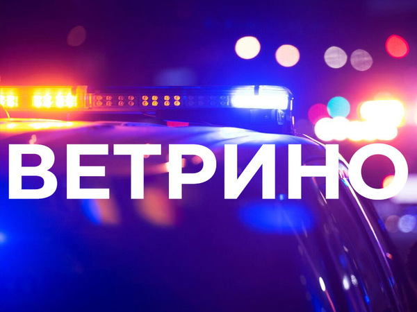 Задържаха 16-годишен за убийство във Варненско