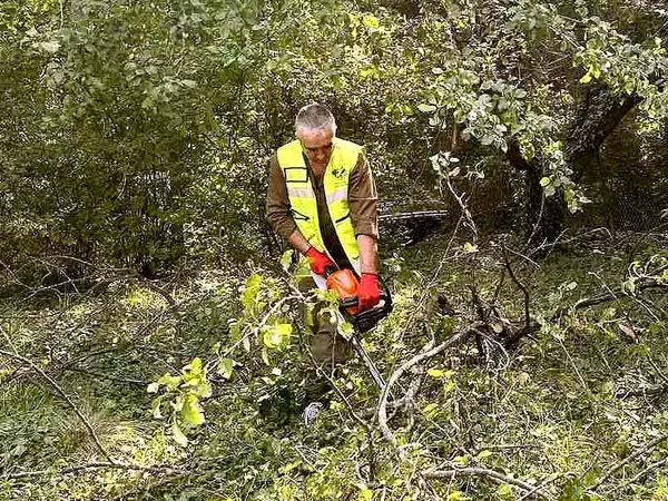 Почистиха и осветиха горски пътища във Варненско