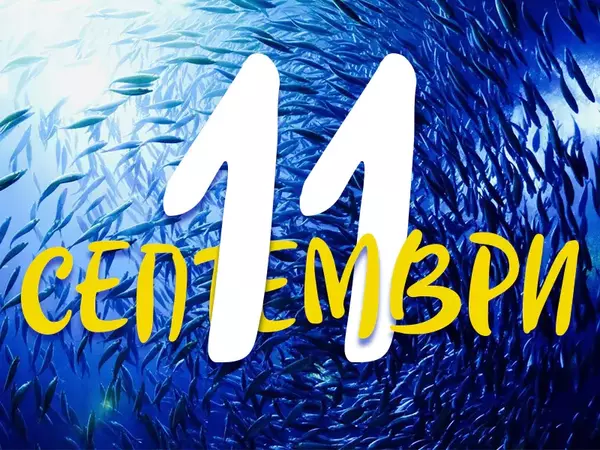 Хороскоп за четвъртък, 11 септември 2025 г. (Всички зодии)