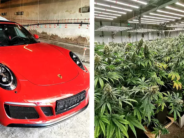 При спецакция във Варненско: Разбиха наркооранжерия и откриха откраднато "Порше"