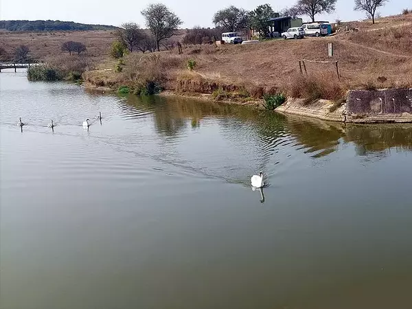 Инспектират състоянието на язовирните стени в област Варна