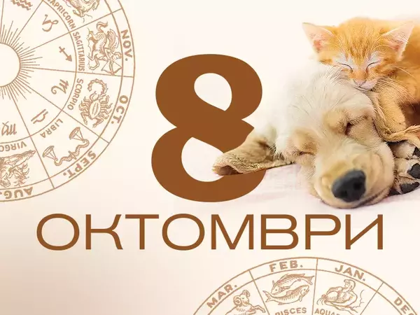 Хороскоп за вторник, 8 октомври 2024 г. (Всички зодии)