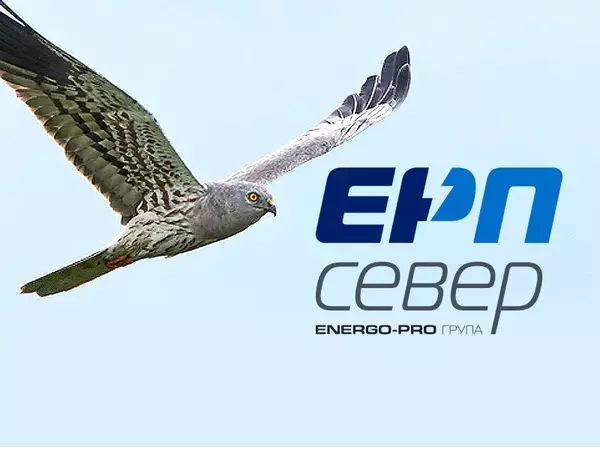 Над 20 000 устройства за защита на птиците са монтирани в Североизточна България