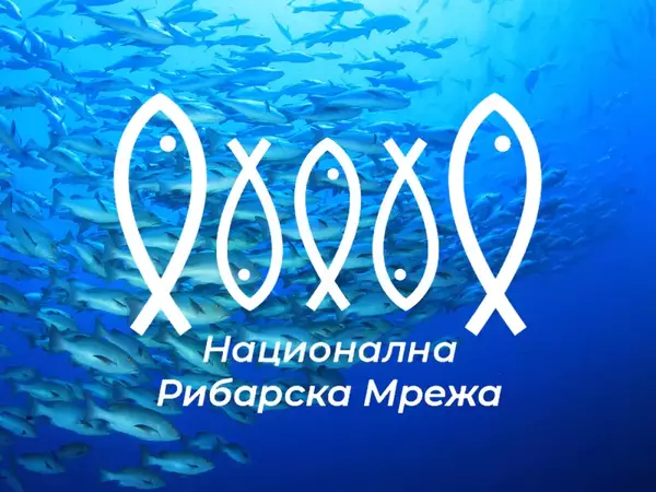 Заради войната в Украйна: Подпомагат рибари с над 23 млн. лв. 