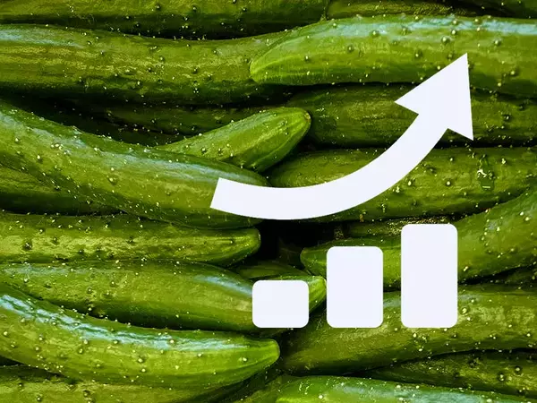 Скок в цените на зеленчуците през 2024-та прогнозират производители