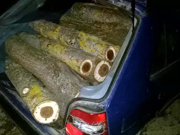 Автомобили, коне и каруци са иззети от бракониери през миналата година