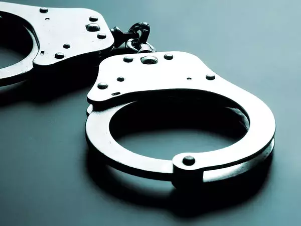 Варненец задигна електронна игра и комплект за маникюр