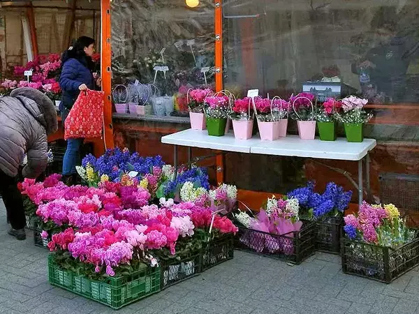 Варненци извиха опашки за цветя преди 8 март