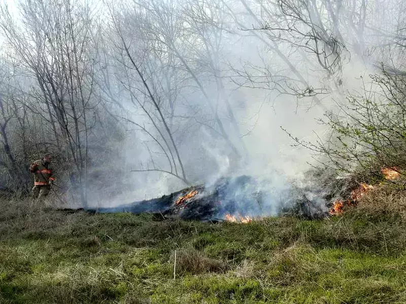 Шест екипа на пожарната се борят с огнена стихия край Варна