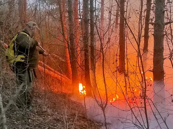 Вече пети ден продължава борбата с горския пожар край Девня