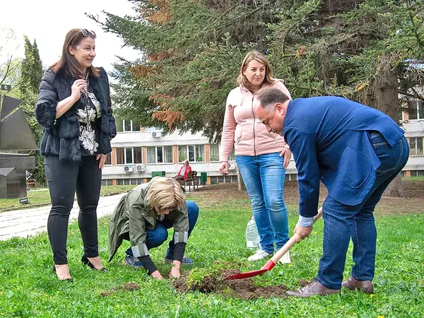 Засадиха над 50 дръвчета в двора на Техническия университет във Варна