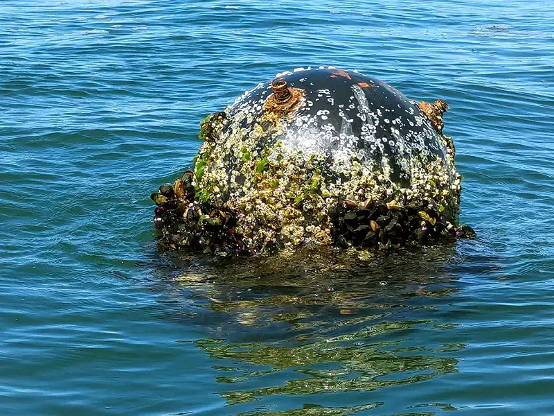 Откриха и унищожиха морска мина край Варна