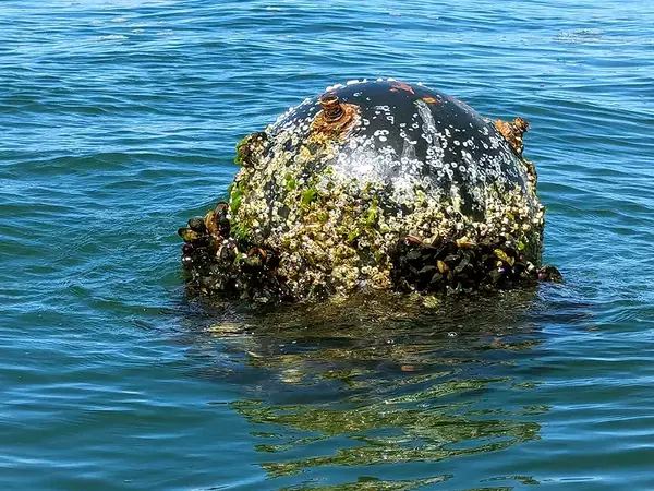 Откриха и унищожиха морска мина край Варна
