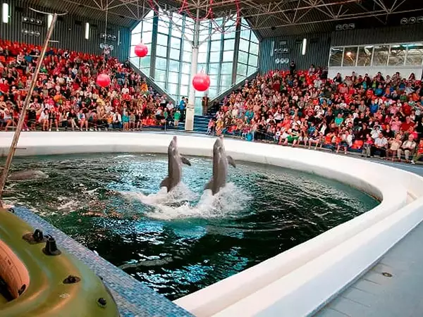Делфинариумът организира безплатни представления за децата на 1 юни