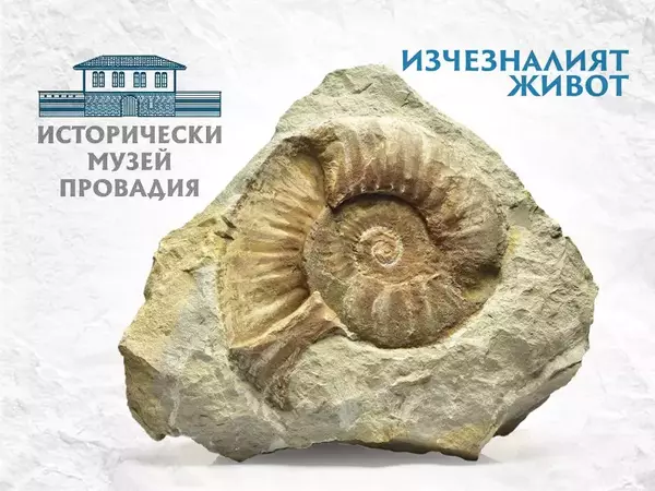 Изложба „Загадките на Земята – Изчезналият живот“ откриха в Историческия музей в Провадия
