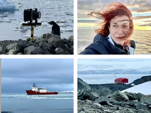 Представят "Ледовете на Антарктика" на входа на Морската градина във Варна