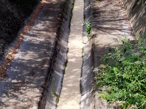 Сигнал за оцветяване на морските води при Офицерския плаж провериха експерти от РИОСВ-Варна