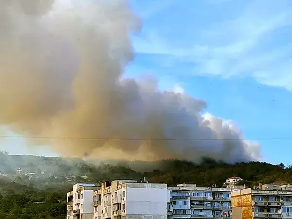 Гасиха пожар в гората край Каменар