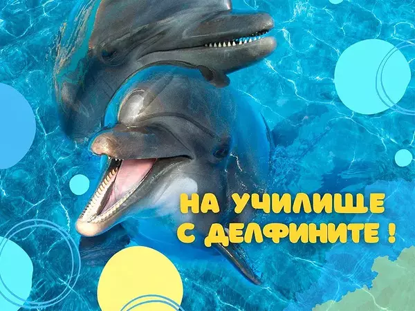 Безплатни билети на децата за 15 септември предлага Делфинариум Варна