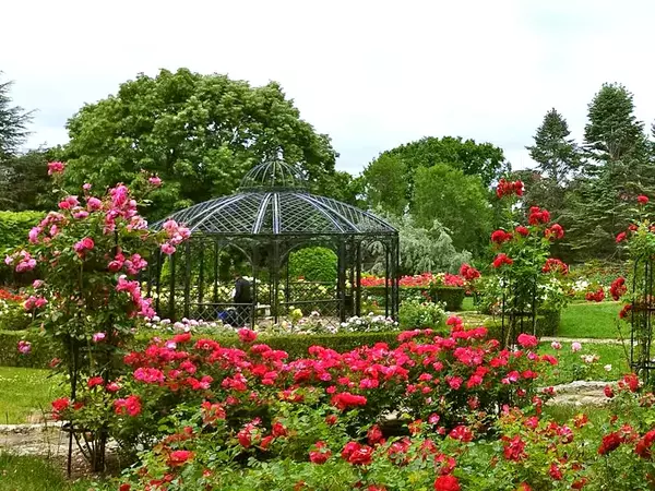 Екопарк Варна кани на чаша вино в обновения розариум