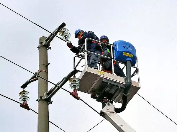 Монтират птицезащитни устройства на съоръжения от електро мрежата в Североизточна България