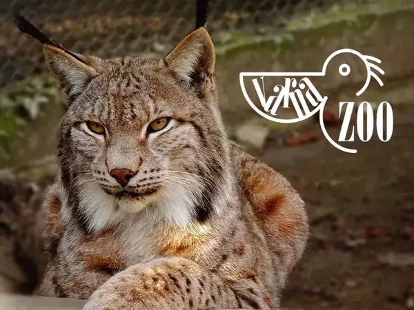 Поскъпва входният билет за зоопарка, както и таксата за общинската детска кухня във Варна