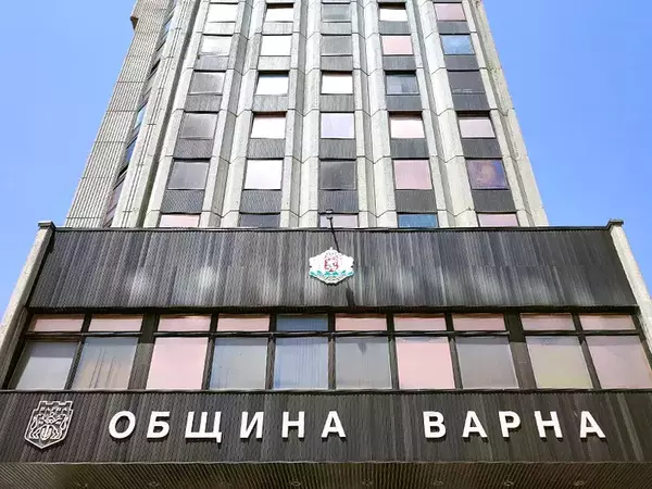 Нови 200 000 лева за премахване на опасни дървета отпуска Общината