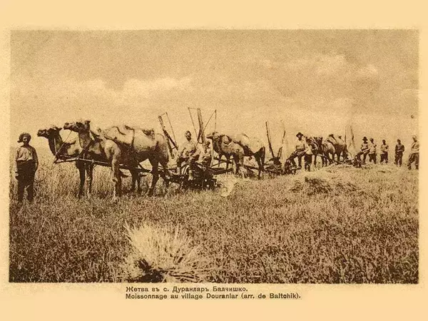 Проблеми със залесяването в България обсъдиха по време на конференция