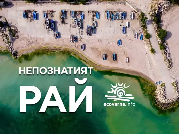 Ученици от Варна и Добрич ще влязат в ролева игра за черноморските защитени зони