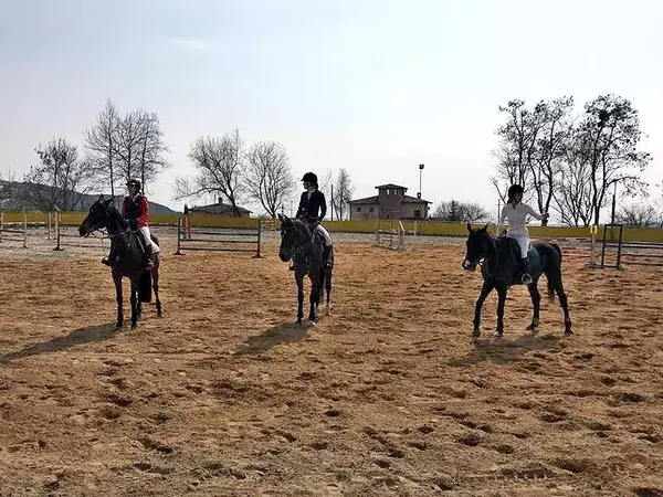 Планират основен ремонт на Конната база във Виница